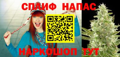 a pvp Гагарин