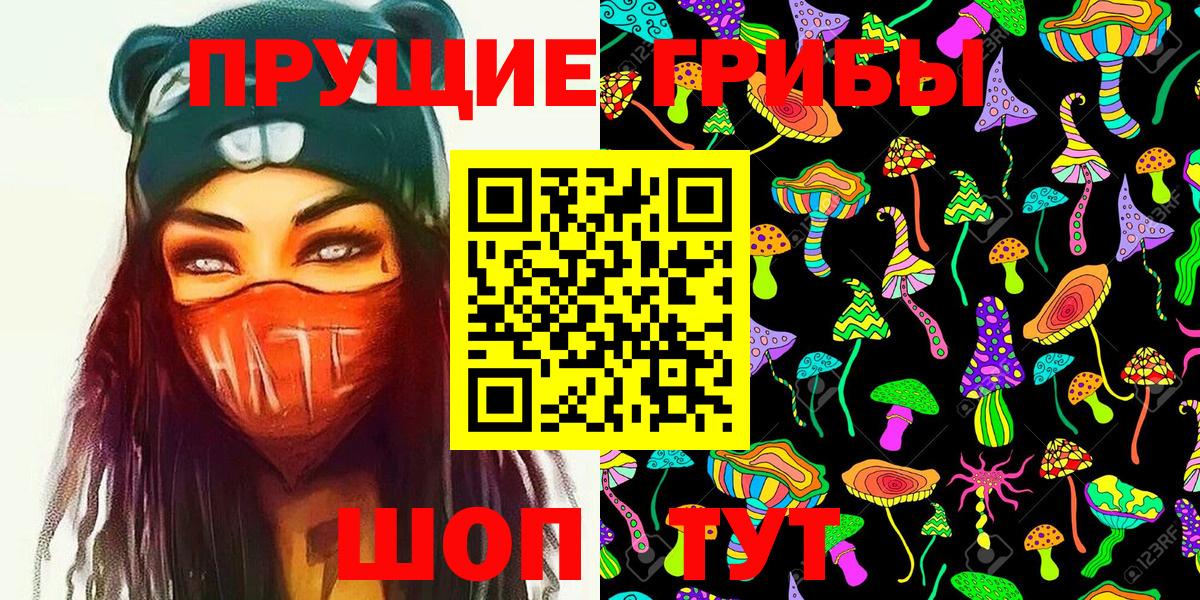 Псилоцибиновые грибы MAGIC MUSHROOMS  Вход с VPN  Буйнакск 