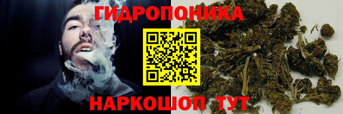 Буйнакск  Конопля AK-47  Вход с VPN  Бошки марихуана тримм 